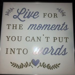 Framed Art: Live for the Moment you cant put into words